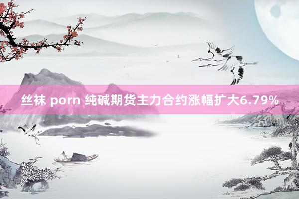 丝袜 porn 纯碱期货主力合约涨幅扩大6.79%