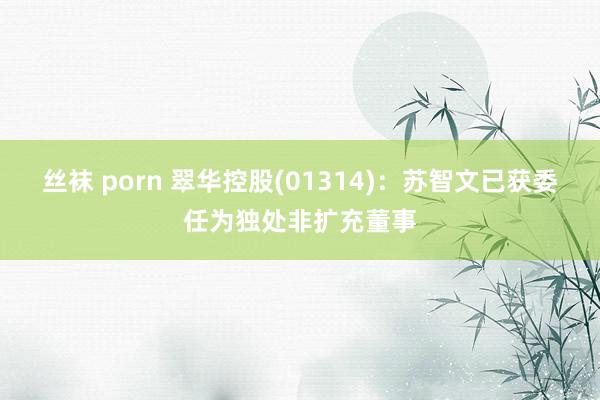 丝袜 porn 翠华控股(01314)：苏智文已获委任为独处非扩充董事