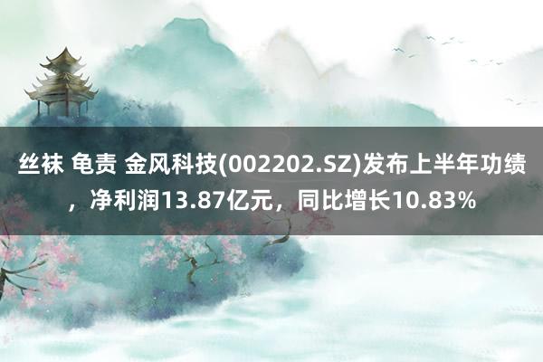 丝袜 龟责 金风科技(002202.SZ)发布上半年功绩，净利润13.87亿元，同比增长10.83%