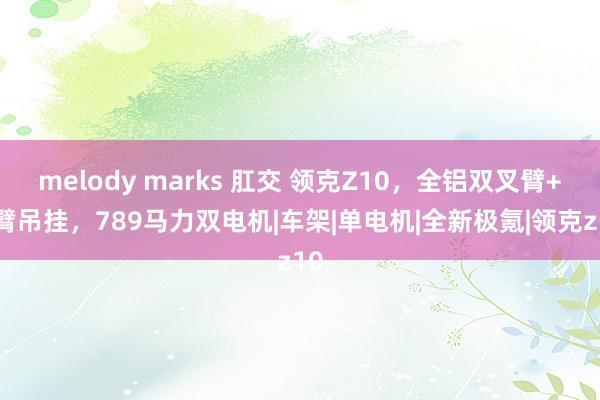 melody marks 肛交 领克Z10，全铝双叉臂+H臂吊挂，789马力双电机|车架|单电机|全新极氪|领克z10