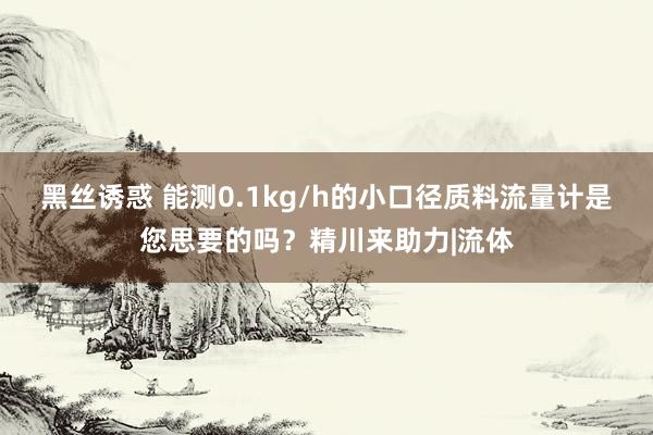 黑丝诱惑 能测0.1kg/h的小口径质料流量计是您思要的吗？精川来助力|流体